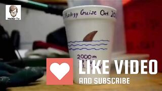 Fact videos