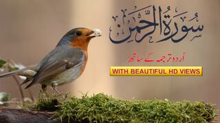 Surah Ar-Rahman | Beautiful Recitation | Surah Rehman with beautiful Voice | Surah Rehman Full