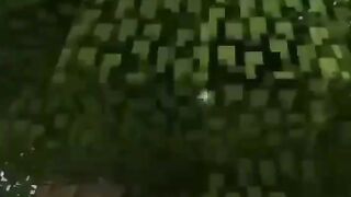 Real vs Realistic Tree In Minecraft!