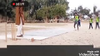 Cricket time