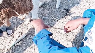 Amazing video