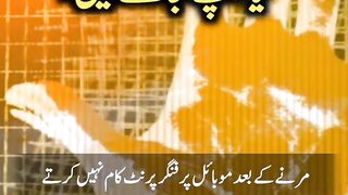 Interesting facts in urdu
