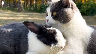 Having fun in the park