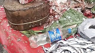Pakistani Fish/vlog/Khurshid Khan Vlogs.