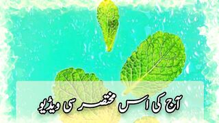 Machli Khate Howe kin cheezon ka khayal rakhe