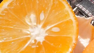 Enjoy Juicy oranges in winters