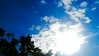 beautiful video shot