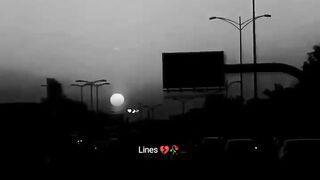 True lines ????????????
