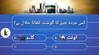 Islamic sawal jawab #quiz #febspot #deenaurdunyiamm #viral