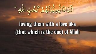 islamic video quran recitation