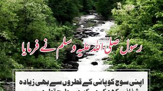 #shorts Hadith Mubarak # short video