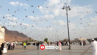JABAL RUMAH Uhad Mountain, Madina