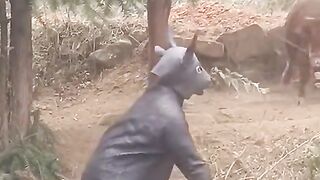 Funny video