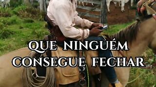 Motivaçaodiaria