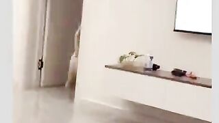 funny dog ​​video #dogs #funny
