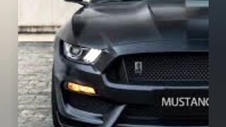 Mustang.