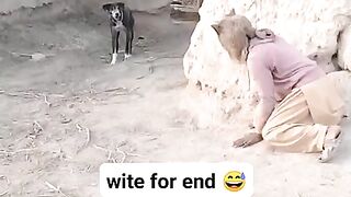 Best Funny the man scared the dog #funny