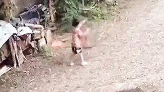 fany videos