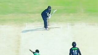 Cricket post