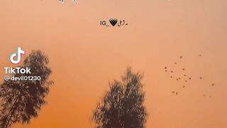 New best status