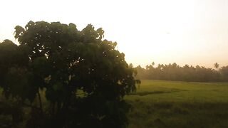 Sri Lanka nature beauty