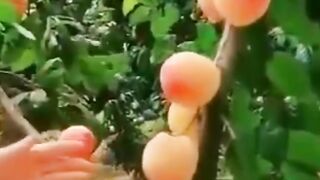 Must watch|Nature's power #febspot  fallow me