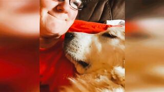 Funny video, pets funny video,cats funny video v