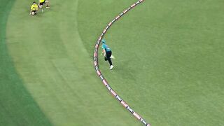 Aisa catch kabhi Nahin dekha hoga best cat