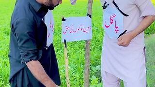 Pagal Vs Zahen Log _ Funny Video