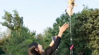 Funny Flying dog