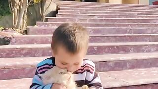 Fatma Baby Playing With #Cat#shorts#pakistan