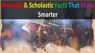 Amazing and Scholastic Facts to Surprise You