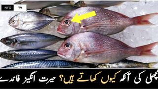 Machli ki Aank q Kahai Jatai Hai?/Info TV
