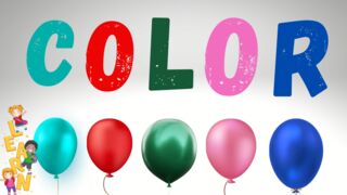 Colors for Children with Balloons Animations | Learn Colors Pre-School Kids and Toddlers