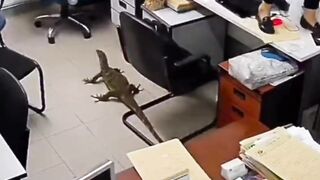 Amazing Entry