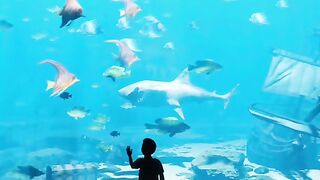 Would you visit the nightmare aquarium? ????