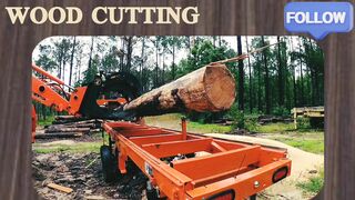From cutting wood to markets, all work has been made possible by machines.
