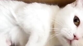 life is hard