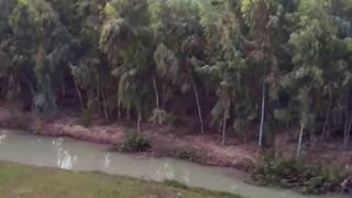 Cute asad and Muhammad|subscribe please for more