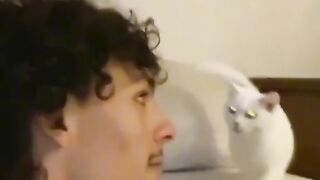 Cat funny moments