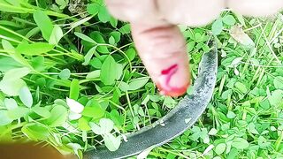 Finger cut in gross cutting #viralvideos#subscribe