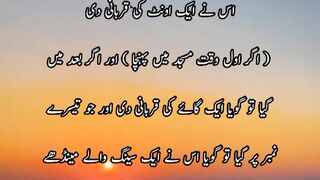 hadees e nabvi|  motivational quotes|islamic quotes|urdu quotes|quotes|qoutes|hadees e nabvi| hadees| imam hasan