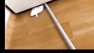 Amazing Funny Rat