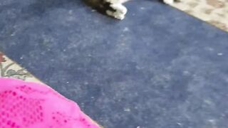 Kitty Got Scared
