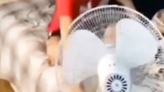 Funny Fan Dancing