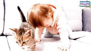 Cute baby playing with cat's