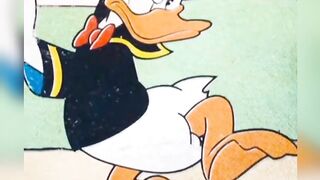 Funny ducks| cut ducks