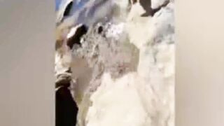 Moment Fisherman Almost Dragged into River By Furious Saltwater Crocodile After Teased With Lure
