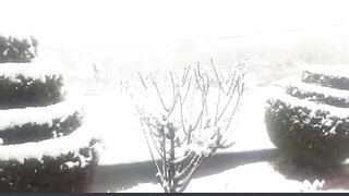 snowfall