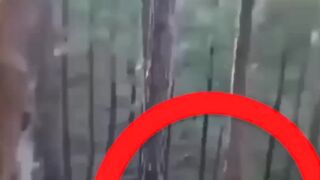 Allah hoo ekbar